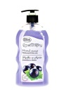 Ríbezľové tekuté mydlo na ruky s aloe 650 ml