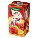 HERBAPOL Malinový citrónový čaj 20 tb