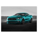 Samolepky A5 LEVEL Ford Mustang Car USA