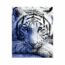 Diamantové vyšívanie Diamant 30x40cm Tiger DPX-11055