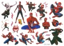 Odnímateľné tetovanie pre deti SPIDER-MAN CG343