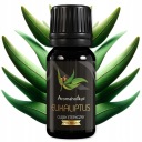 EUCALYPTUS GLOBAL Prírodný aromatický esenciálny olej 10ml