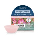Yankee Candle DESERT BLOOMS vonný vosk 22g