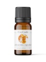Vonný olej na mydlové základové voskové sviečky Clementine Cupcake 10 ml