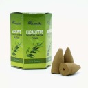 Eucalyptus Aromatika vonné tyčinky spätné 10 ks