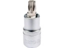 TORX LOCK KEY 1/2