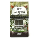 Ilex Guayusa 100g energetická relaxačná stimulácia 0,1 kg
