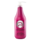 Stapiz Acid Balance okysľujúci šampón 1000ml