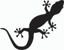 Samolepka JAŠTERIČKA GEKKO