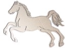 KONIK Sensoplastika kartonsenso Montessori