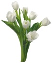 NÁLEPKA NA OKENNÉ ZRKADLOVÉ SKLO KVETINY TULIPÁN