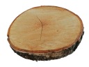 BREZA plátok, drevený kotúč, TOP stolík, 25 cm