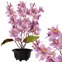 UMELÉ KVETY V KVETINÁME ORCHIDEJ