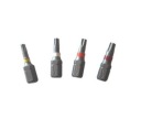 TORX BIT, hrot pre vŕtačku TX10 ROTHOBLAAS