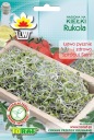 Rukola rukola semienka rukoly na klíčky Toraf 10g