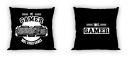OBOJSTRANNÝ POVLAK NA VANKÚŠ 40x40 HERNÝ GAMER PC