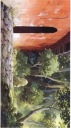 Anime Spirited Away smradový plagát 029 A3 (vlastný)
