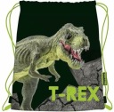 BAMBINO taška 42 x 34 cm na topánky, outfit, DINOSAUR