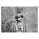 Samolepky A5 LEVEL Milujem život Banksy