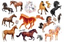 Odnímateľné tetovanie pre deti HORSES CG544
