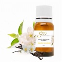 Sviečková vôňa Vanilla & Jasmine sójový voskový olej na sviečky 10 ml