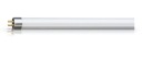Actinic BL TL 6W/10 1FM