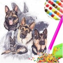 Diamond Painting DOG Diamond Mosaic Dog 5D Obrázky vyrobené z 5D diamantov