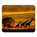 Podložka pod myš WILD ANIMALS GIRAFFE