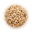 PŠENIČNÉ zrná 1kg