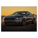 Nálepky Ford Mustang LEVEL A5 vyrobené v USA