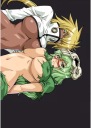 Anime Manga Bleach Plagát blh_051 A3
