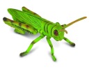 Kobylka