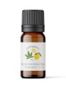 EasyFragrances Hemp Leaves & Lime Haze vonný olej na sviečky 10 ml