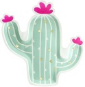 TANIERE mexicana CACTUS kaktusy kaktus 6 ks na narodeninovú oslavu 23 cm