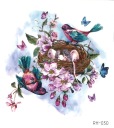 Odnímateľné tetovanie pre deti BIRDS RH030