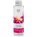 Paradise Euforia vonný olej do difúzorov interiérových parfumov 100 ml