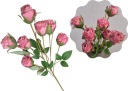 ROSE tmavoružová záhradka na vázu na kyticu 56 cm