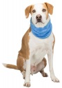 Trixie Cooling bandana XL 47-57 cm