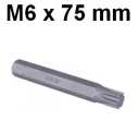 Bit 10 mm RIBE M6 x 75 mm D10R75M06A Jonnesway