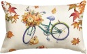 Obliečka na bicykel a jesenný vankúš 30x50cm