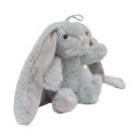 Maskot králika s dlhými ušami Deef 48d
