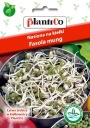 Semená na naklíčenie fazule mungo Plantico