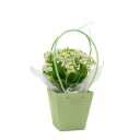 Flower Box Flower Bag Svadobné prijímanie ku dňu matiek ZELENÁ 3249