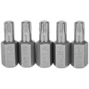 C3211 torx bit T60 30x10mm oceľ S2 richmann 5 ks