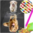 Diamantové vyšívanie DOGS Diamantová maľba Mozaika 5D Obrázky vyrobené z 5D diamantov