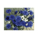 Diamantové vyšívanie Diamantové kvety 30x40cm DPX-02866