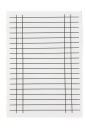 Obojstranné PRAVIDLO pre ŠTUDENTSKÉ A5 mriežkové a riadkové Interprint RIGID CARDS