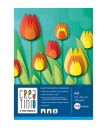 CEATINIO COLOR TECHNICKÝ BLOK A4 10K 160G