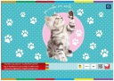Farebný papier B4 Interprint 8 listov 170 g/m²