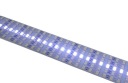 Pás LED pás 5630 studený 144D pevný 30W 50cm